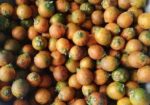 ১ কুড়ি পাকা সুপারি বিক্রি হবে