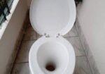 Rfl High Comod