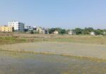 ৮ শতক জমি বিক্রয় হইবে