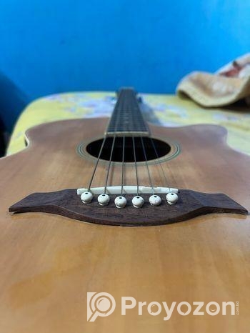 Chaina guiter