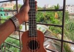 উকুলেলে বিক্রয় হবে