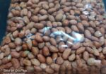 চীনা বাদাম (কাঁচা) / PEANUT RAW – 30TAKA DELIVERY (DHAKA)