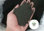 প্রিমিয়াম চা পাতা (দানা) / PREMIUM TEA (SHYLET)