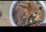 অরজিনাল মধু