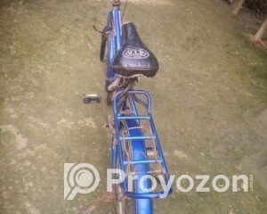 fitted-5_2026-01-04_10-25-55