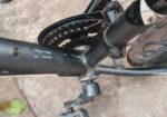 Phoenix Cycle