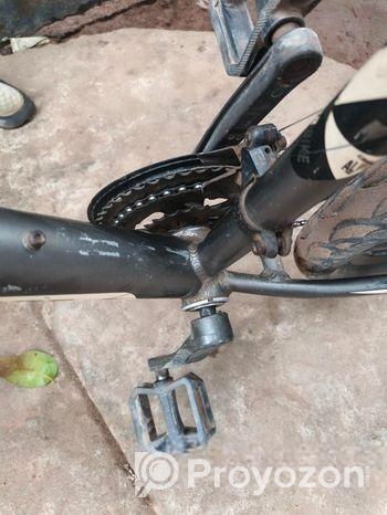 Phoenix Cycle