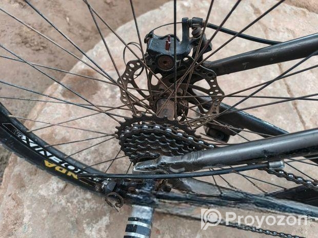 Phoenix Cycle