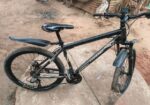 Phoenix Cycle