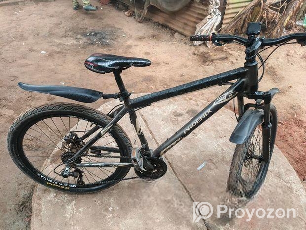 Phoenix Cycle