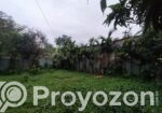 Land sale on urgent basis