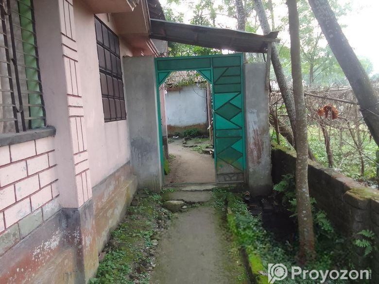 Tin shed house