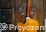 Deviser Guitar
