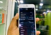iPhone 7 (Used)