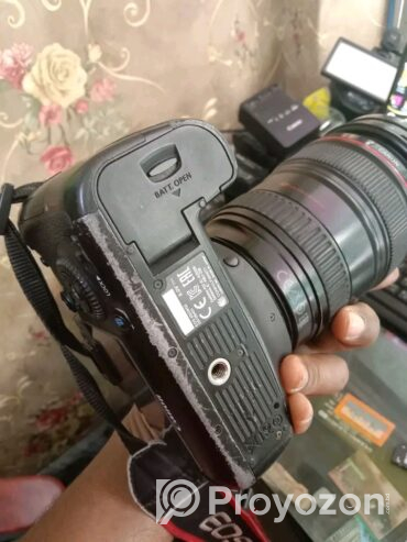 Canon 6D body (Used)