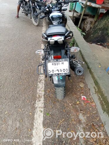 পালসার 150 সি সি 2019 সালের মডেল