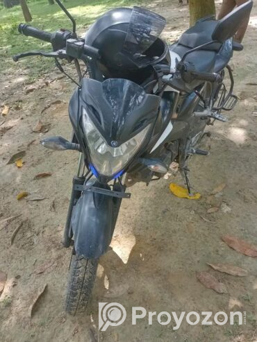 Pulsar Ns 160 Bike