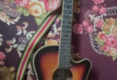 Winfer Brand Guitar for sale
