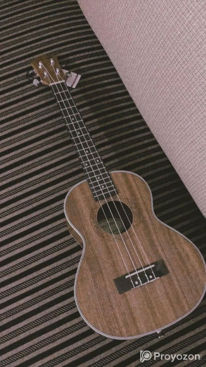 Sell post-musical instrument Guiter