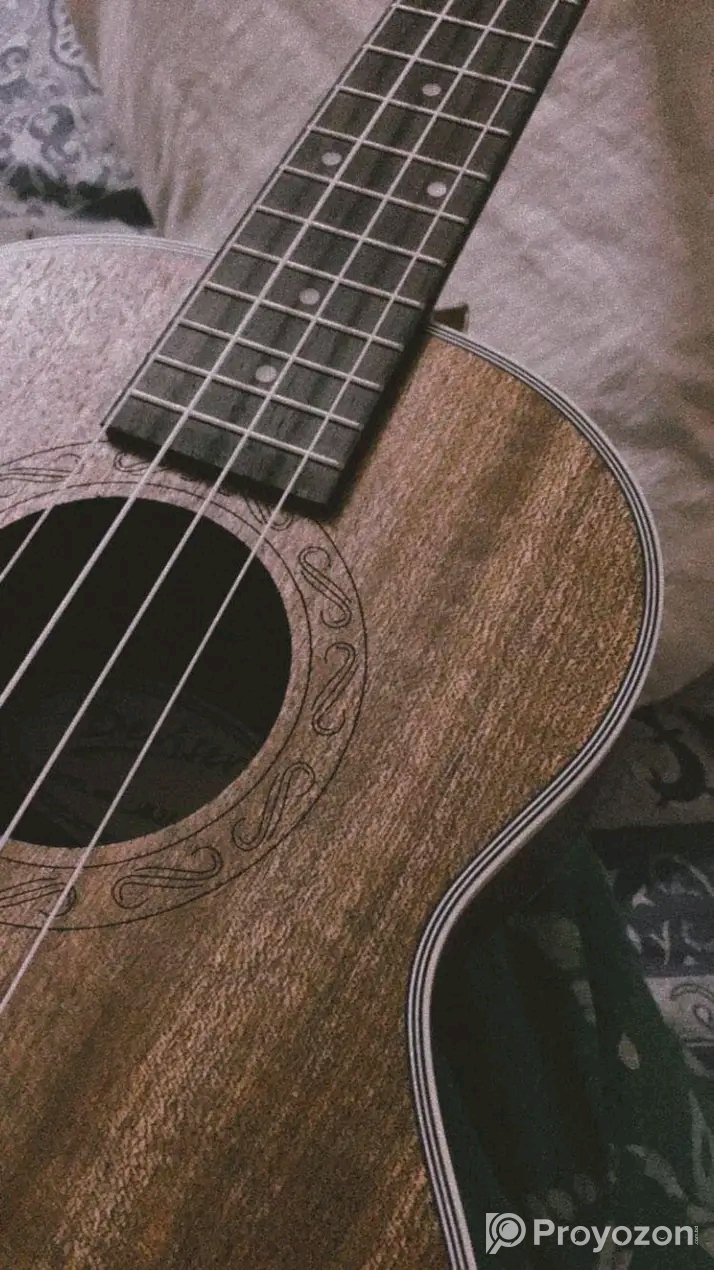 Sell post-musical instrument Guiter