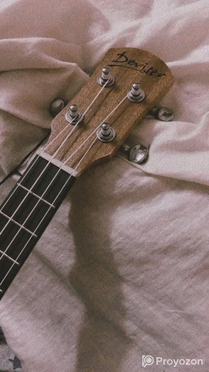 Sell post-musical instrument Guiter