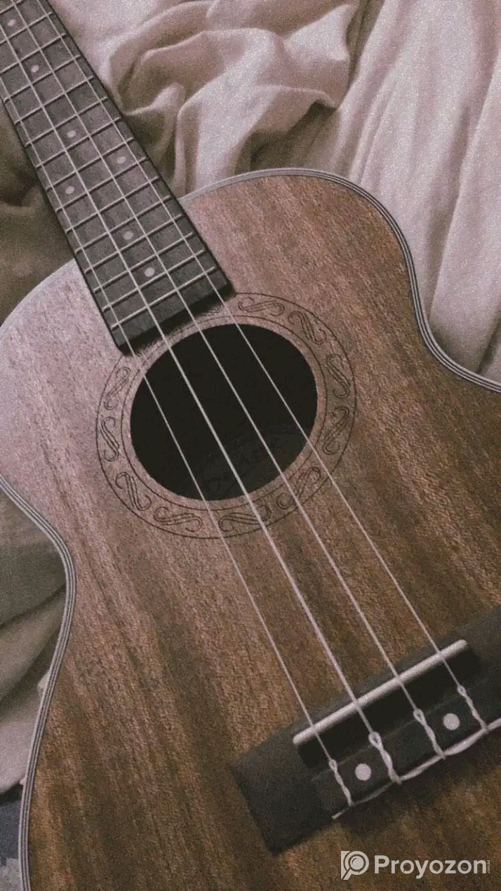 Sell post-musical instrument Guiter