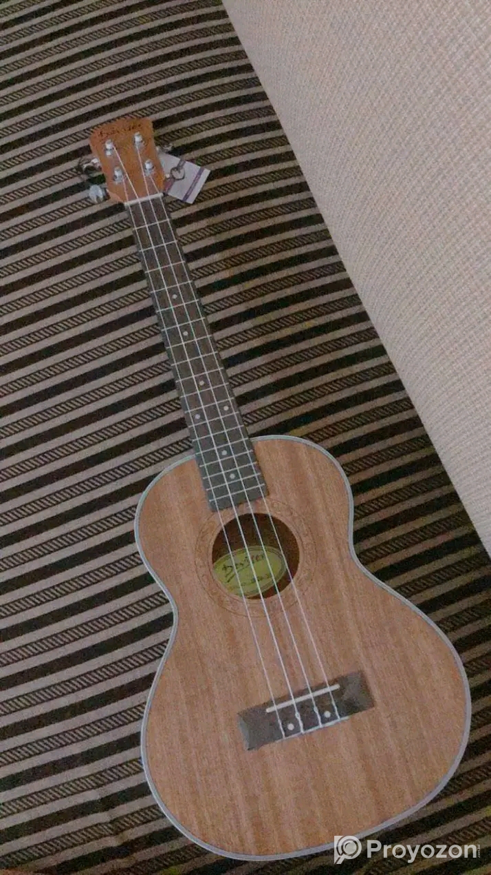 Sell post-musical instrument Guiter