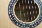 Devaiser L-310 (Used)