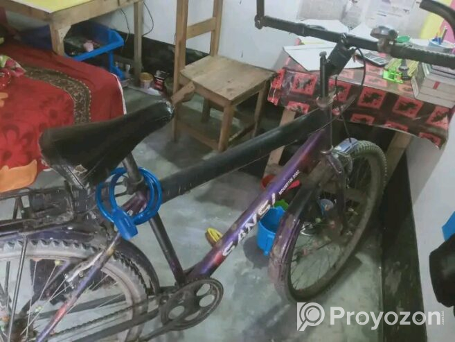 বাইসাইকেলটি বিক্রি হবে