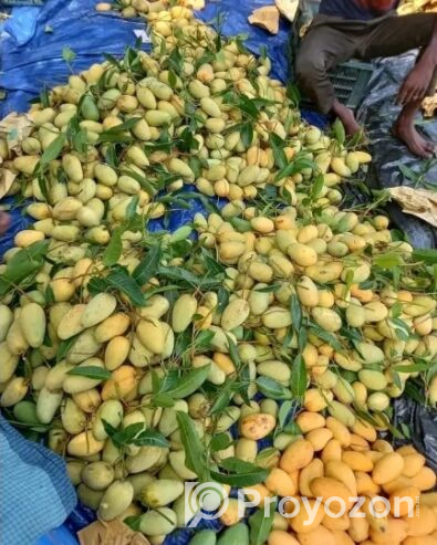সুইট থাই কাটিমন আম