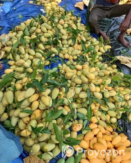 সুইট থাই কাটিমন আম