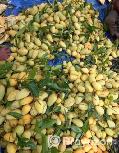 সুইট থাই কাটিমন আম