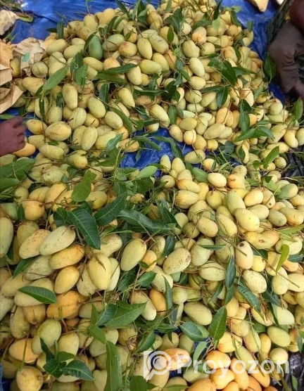 সুইট থাই কাটিমন আম