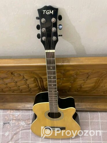 Guitar brand TGM (Used)