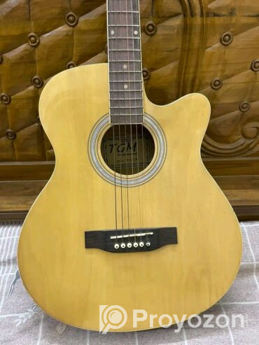 Guitar brand TGM (Used)