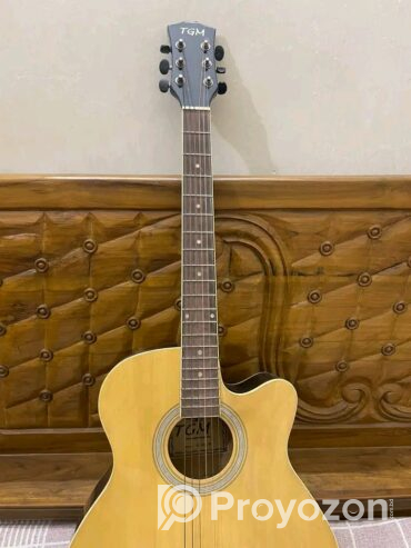 Guitar brand TGM (Used)