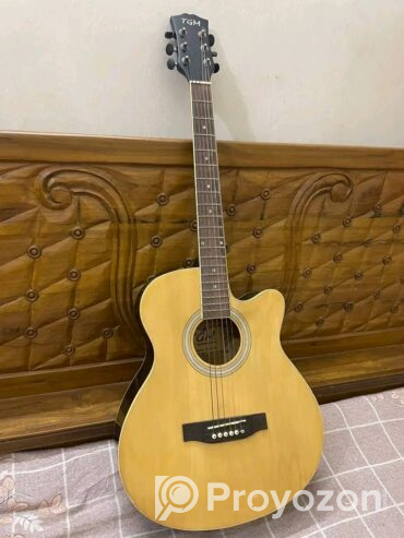 Guitar brand TGM (Used)