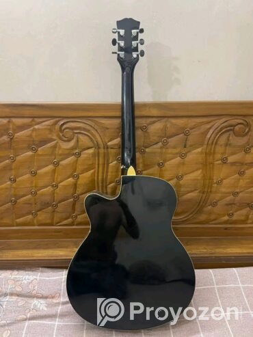 Guitar brand TGM (Used)