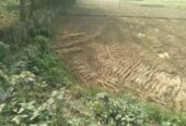 দিনাজপুর জেলার সদরে জমি বিক্রি হবে