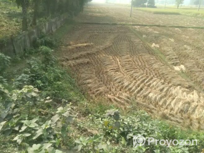দিনাজপুর জেলার সদরে জমি বিক্রি হবে