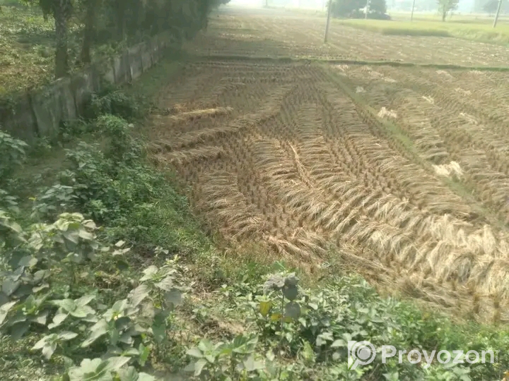 দিনাজপুর জেলার সদরে জমি বিক্রি হবে