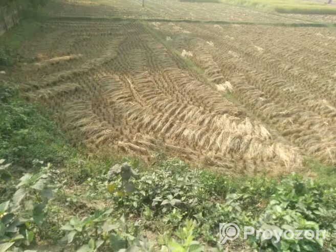 দিনাজপুর জেলার সদরে জমি বিক্রি হবে