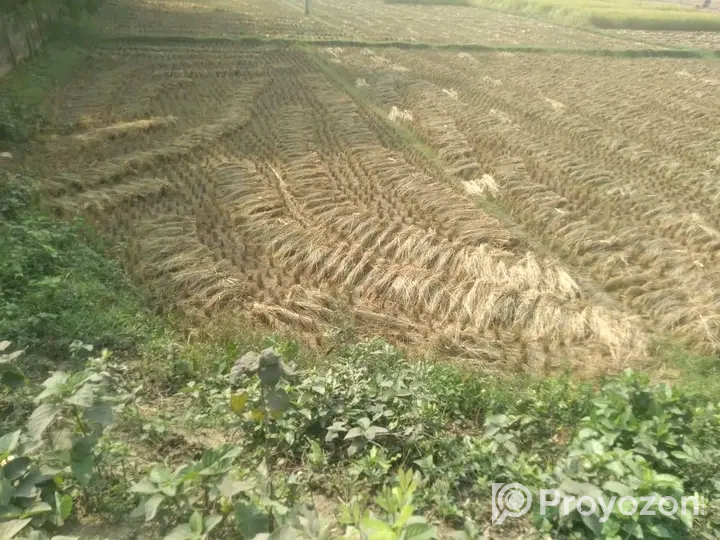 দিনাজপুর জেলার সদরে জমি বিক্রি হবে