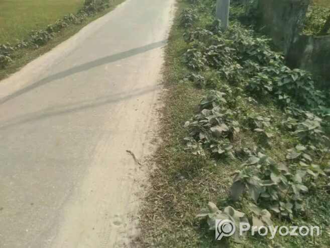 দিনাজপুর জেলার সদরে জমি বিক্রি হবে