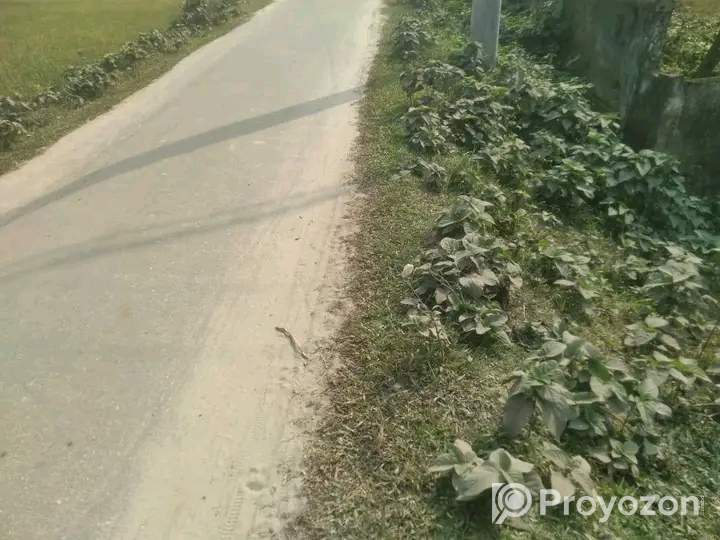 দিনাজপুর জেলার সদরে জমি বিক্রি হবে