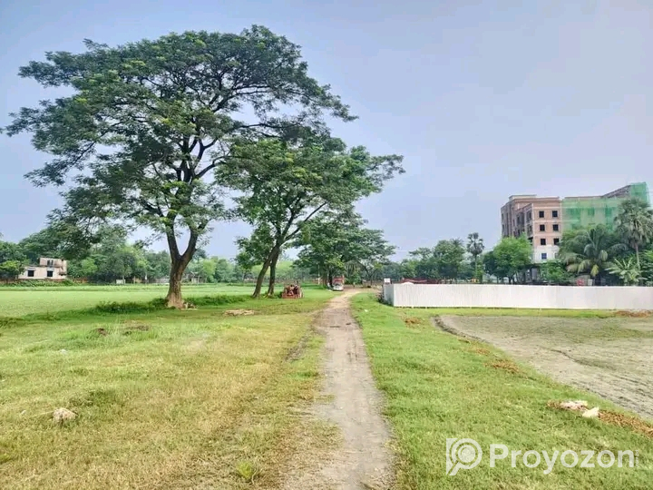 আকর্ষণীয় মূল্যে প্লট বিক্রয় চলছে