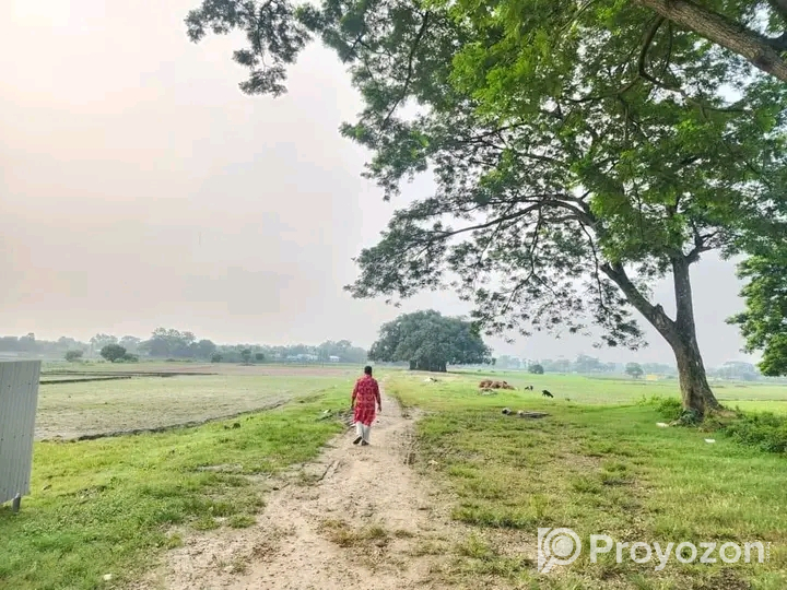 আকর্ষণীয় মূল্যে প্লট বিক্রয় চলছে