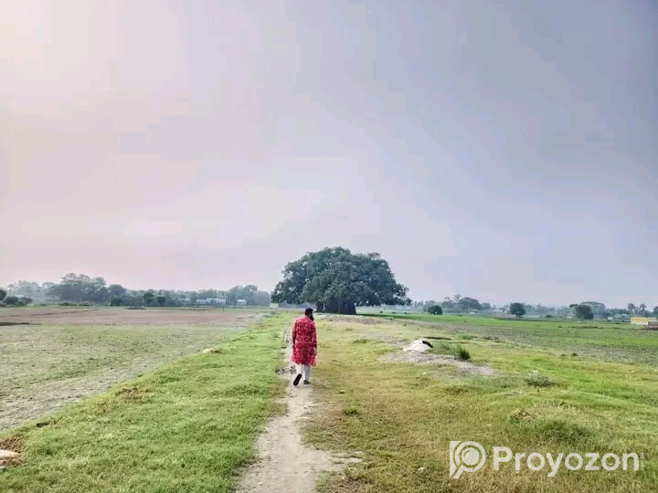 আকর্ষণীয় মূল্যে প্লট বিক্রয় চলছে