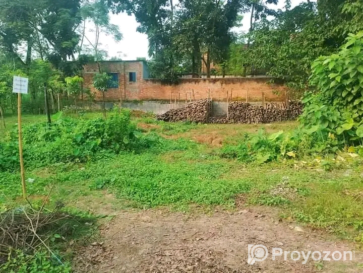 দুই শতক জায়গা বিক্রি হবে।