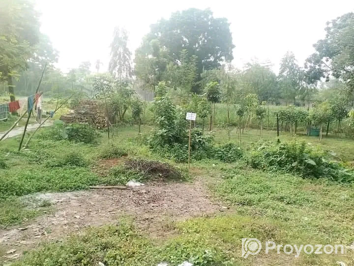 দুই শতক জায়গা বিক্রি হবে।